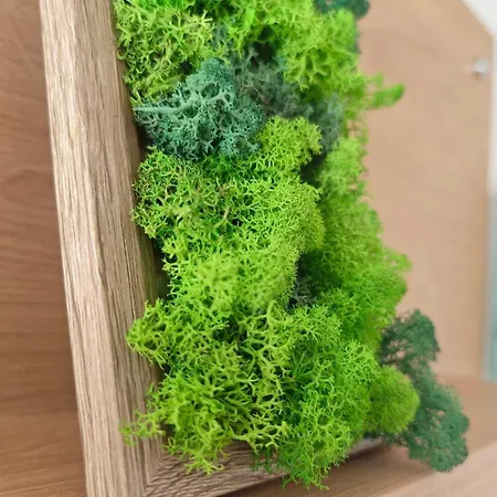 Family Milev 2* Sveti Vlas