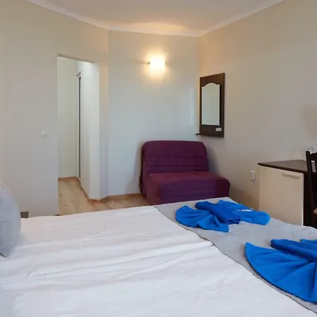 Hotel Family Milev 2*