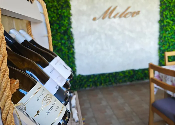 Hotel Family Milev Sveti Vlas