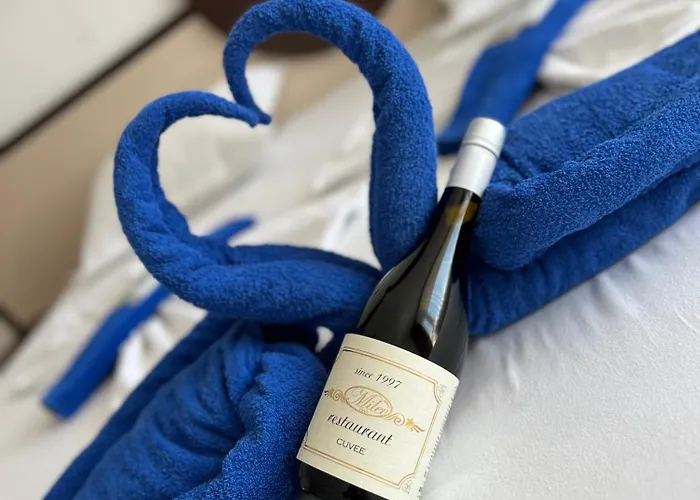 Family Milev Hotel 2*