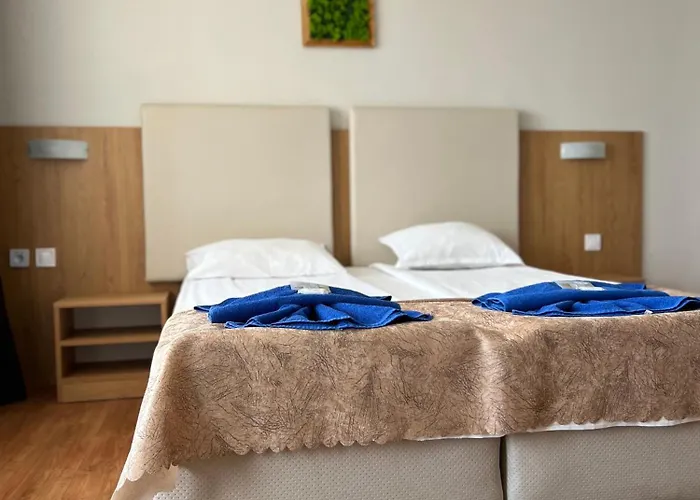 Hotel Family Milev 2*