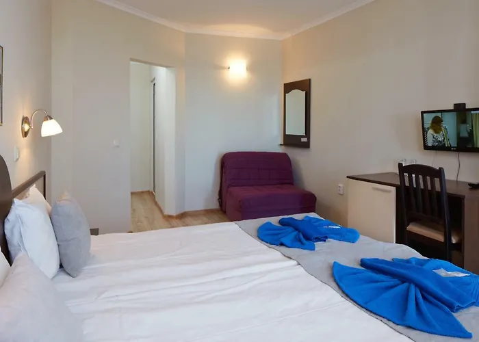 Hotel Family Milev 2*