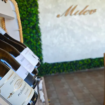 ホテル Family Milev スヴェティ・ヴラス