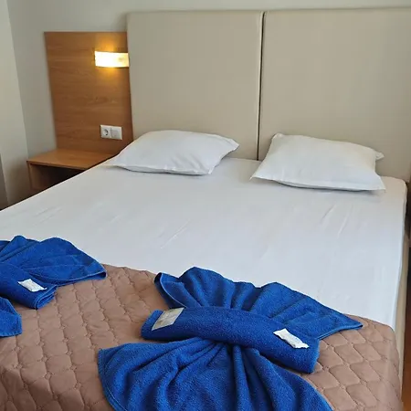 Family Milev 2* スヴェティ・ヴラス