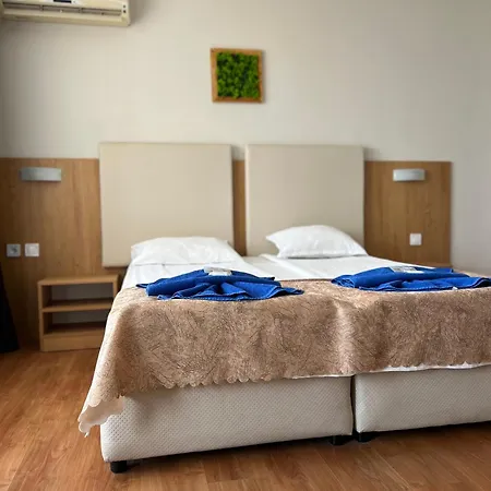 ホテル Family Milev 2*