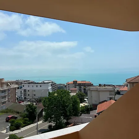 Family Milev سفيتي فلاس