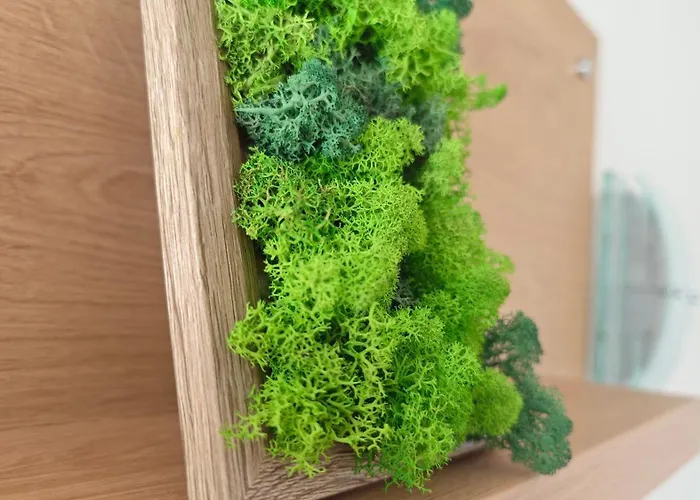 Family Milev 2* سفيتي فلاس