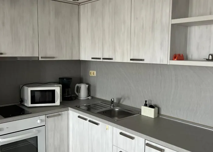 Family Milev سفيتي فلاس